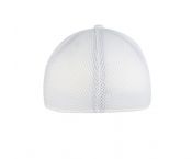 Albatros-back_white.jpg
